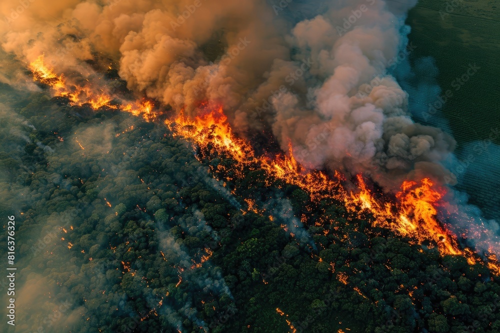 A large fire engulfed trees and grasslands in the countryside. The aerial view showed the fire spreading.