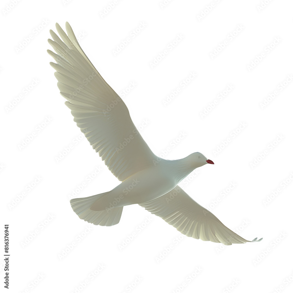Obraz premium a white bird flying in the sky with its wings spread, transparent background png