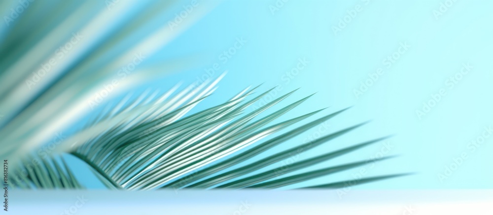 Obraz premium blue background with palm leaves summer concept