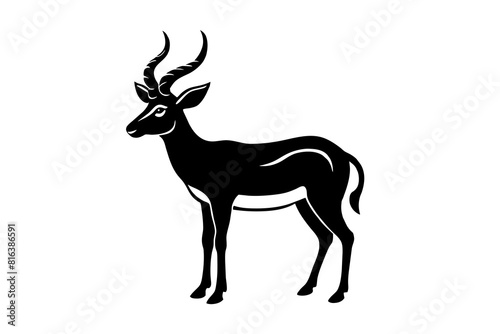 gazelle vector silhouette illustration