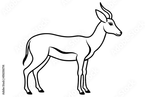 gazelle vector silhouette illustration