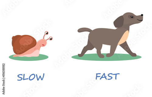 Opposite antonym words slow and fast illustration of snail and dog