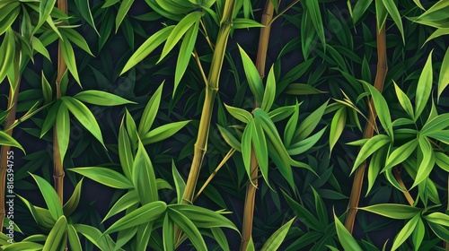 Bamboo pattern and backdrop photo