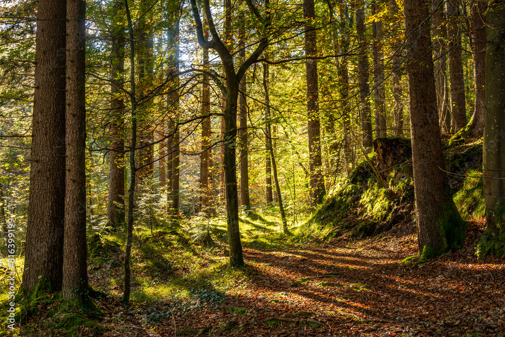 Fototapeta premium Fall or Autum in the Walgau Valley, State of Vorarlberg, Austria