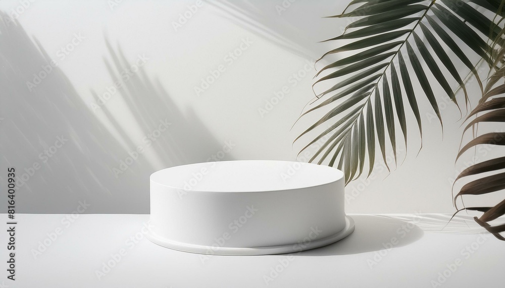 Round Product Podium on a White Background, Tree Shadow, 3D Mockup Background
