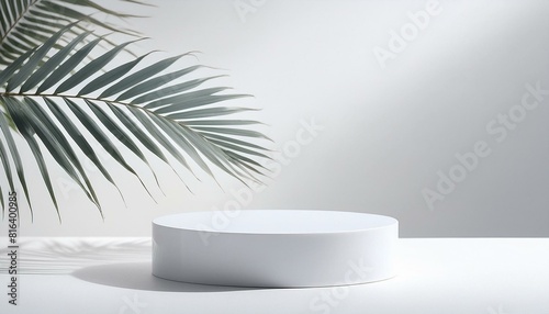 Round Product Podium on a White Background, Tree Shadow, 3D Mockup Background