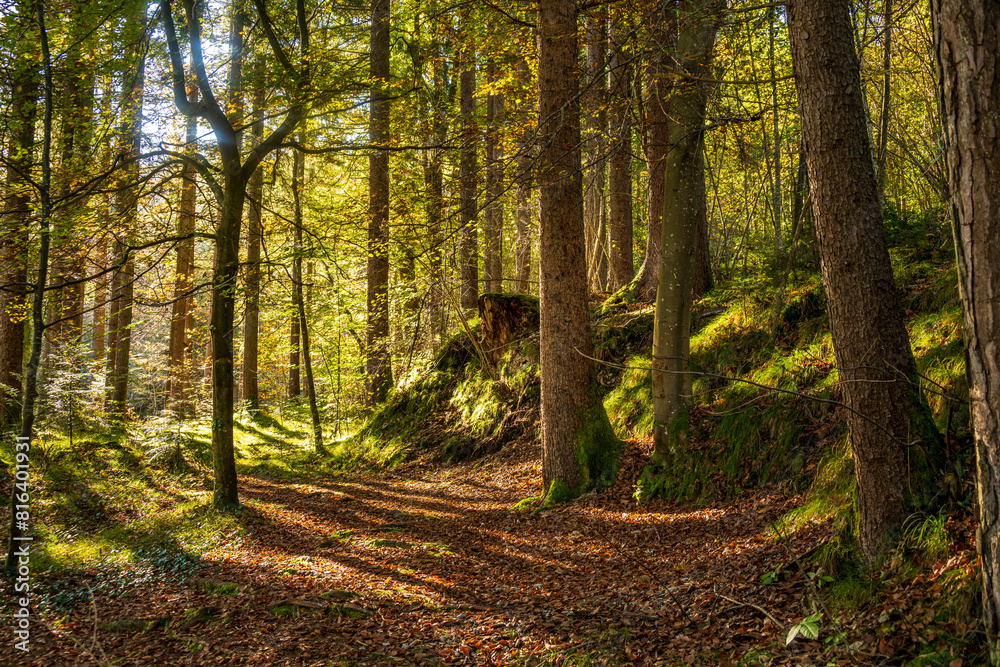 Fototapeta premium Fall or Autum in the Walgau Valley, State of Vorarlberg, Austria