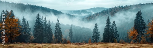 Mystical Autumnal Forest Landscape with Rising Fog in Black Forest, Germany - Panoramic Banner of Mesmerizing Firs and Trees on Meadow