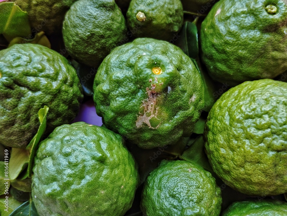 Obraz premium Kaffir limes