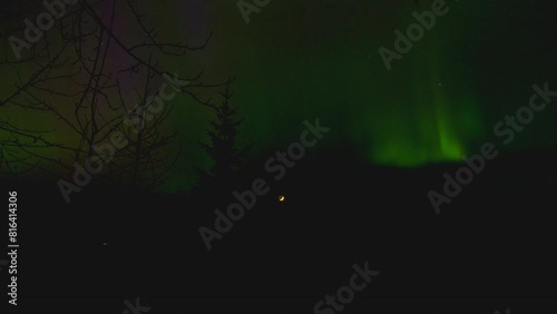 Green boreal aurora with moon coniferous tree and bare tree quebec canada