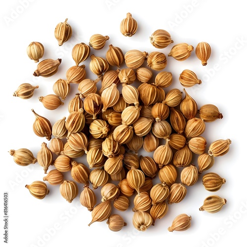 coriander seed white isolated photo