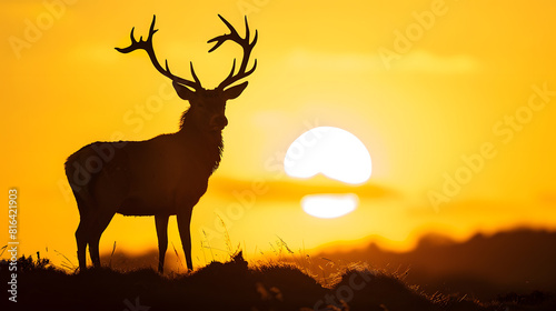 Silhouette of a Red Deer stag during rutting season at sunrise UK   Generative AI