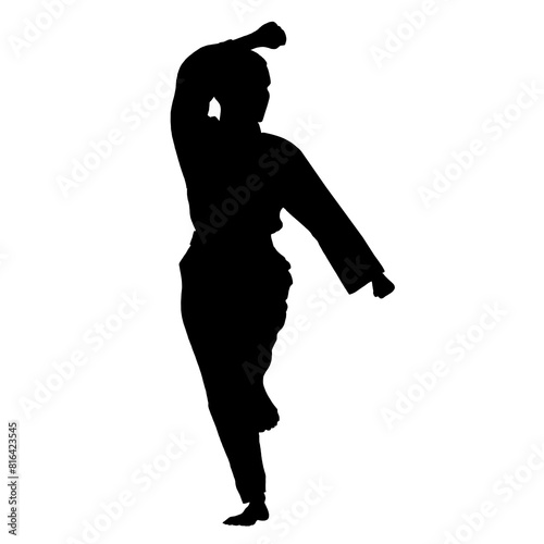 Taekwondo pose shadow illustration with transparent background	