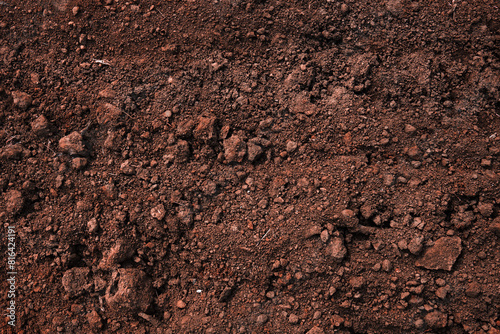 close up of a dirt field with a few rocks scattered around