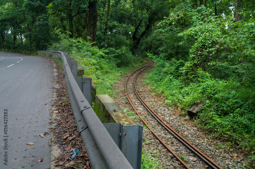 Toy train line, narrow gauge train line passing through Himalayan jungle. Darjeeling Himalayan Railway, narrow gauge railway between New Jalpaiguri and Darjeeling. Toy train line, narrow gauge train line passing through Himalayan jungle. Darjeeling Himalayan Railway, narrow gauge railway between New Jalpaiguri and Darjeeling.