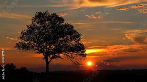 Evening sunset silhouette