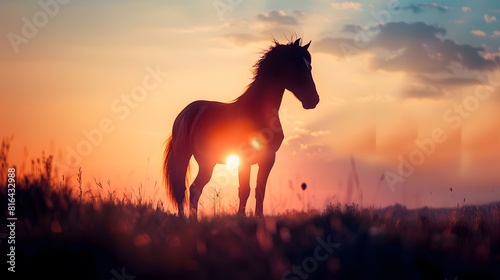 horse silhouette in the countryside and beautiful sunset background : Generative AI
