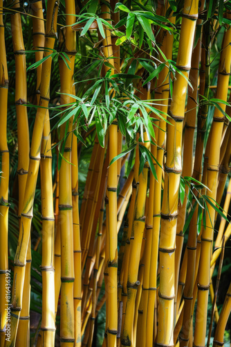 Bamboo Forest In The Form Of A Tourist Photo For Background Created Using Artificial Intelligence