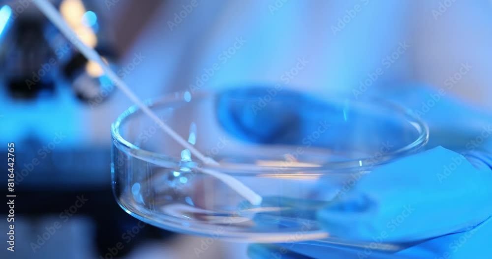 Researcher using test shelf to transfer test liquid Researcher using test shelf to transfer test liquid