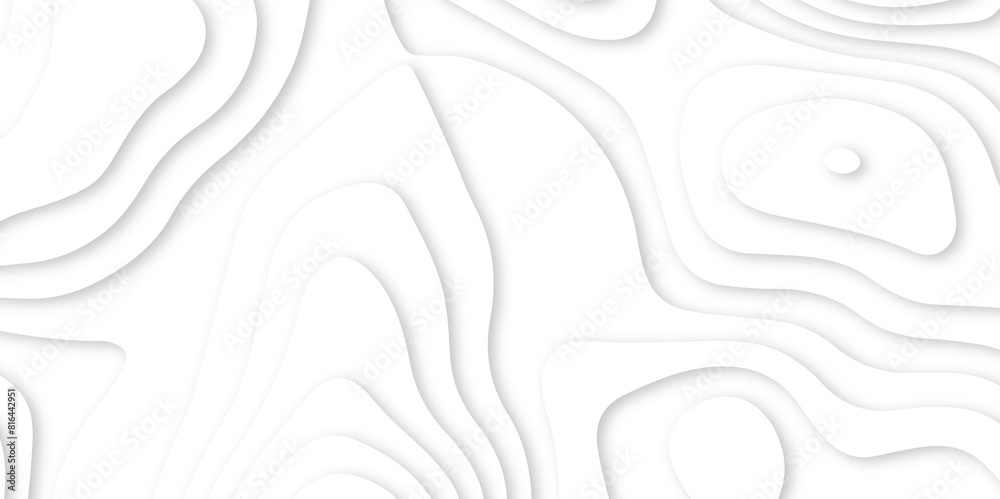 Abstract white paper cut background with lines. Background of the topographic map. Vector white geometric 3d papercut wave carve line element. topographic canyon map light relief texture. Abstract white paper cut background with lines. Background of the topographic map. Vector white geometric 3d papercut wave carve line element. topographic canyon map light relief texture.