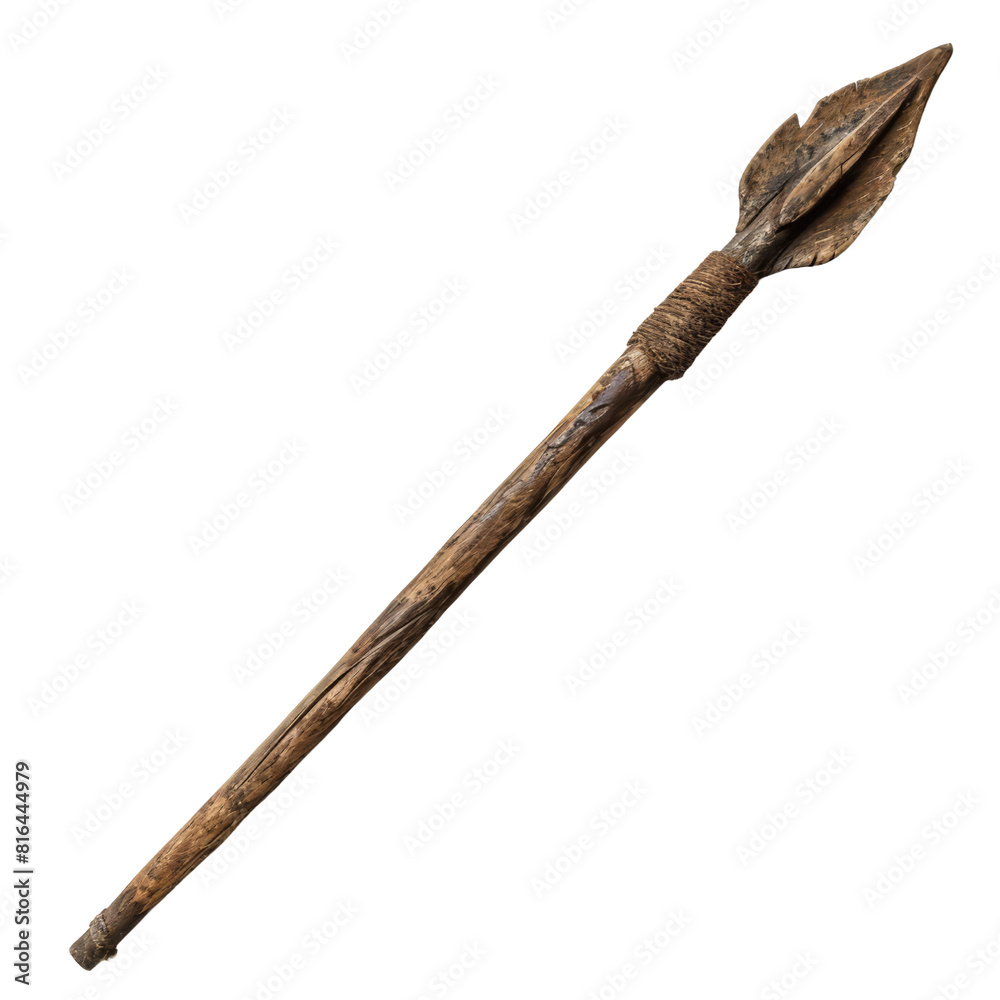 The image is of a primitive spear The image is of a primitive spear