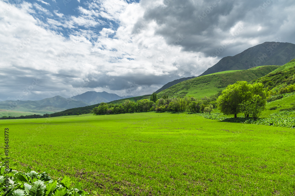 Green field with fresh shoots among green hills. Sky with clouds. Travel to nature. Green field with fresh shoots among green hills. Sky with clouds. Travel to nature.