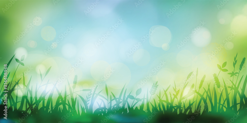 Wild grass on a spring morning, bright spring meadow, vector illustration, bokeh effect Wild grass on a spring morning, bright spring meadow, vector illustration, bokeh effect