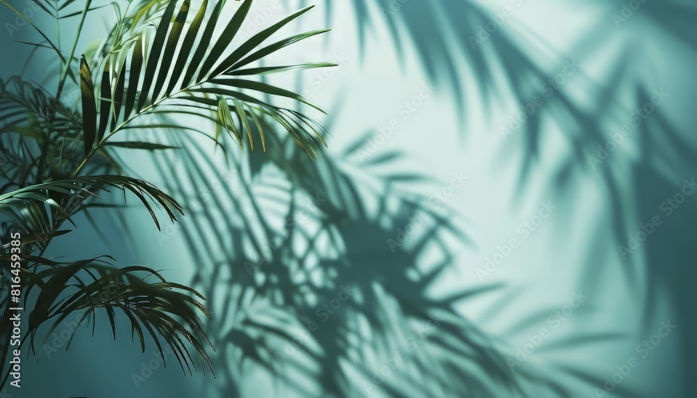 Blurred Shadow From Palm Tress with blue wall