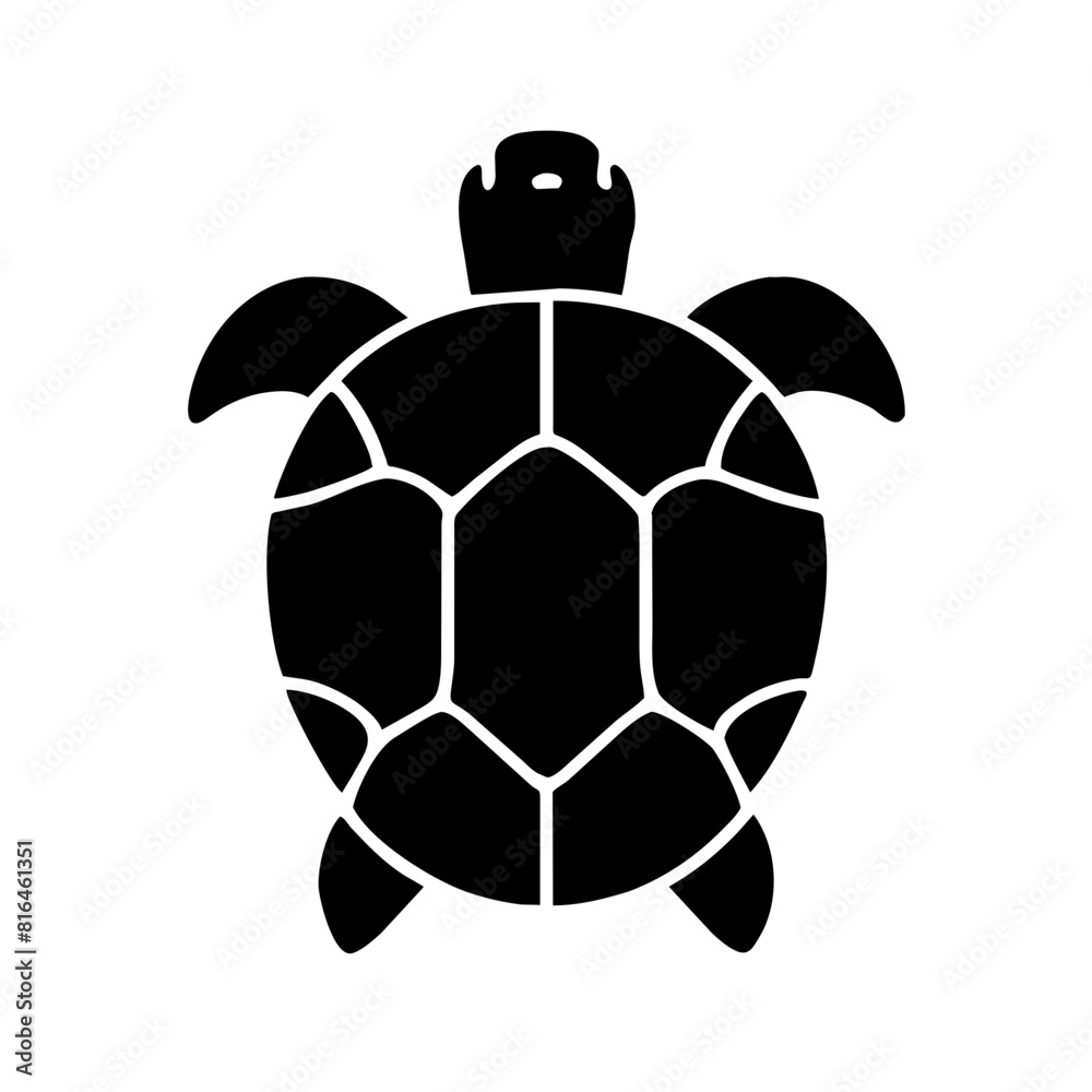 Obraz premium Angulate Tortoise turtle black