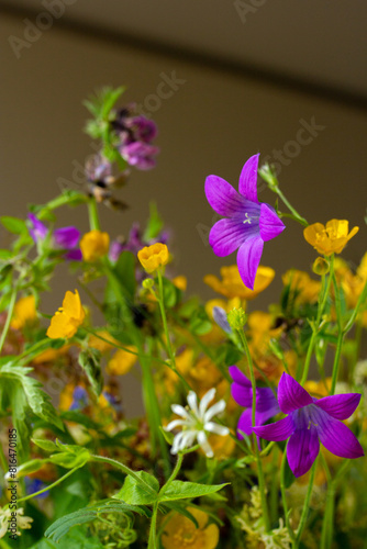 Bright colorful bouquet of wild yellow, white, purple flowers. Home gardening. Vertical floral photo with summer mood. Blossom composition close up