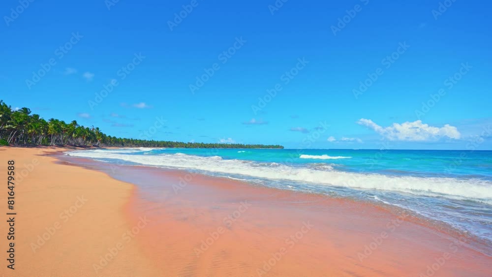 Tropical Indian beach with palm trees, panoramic view with plenty of space to visit. Summer view of nature. Sea coast of a paradise island with golden sand. Relaxing on transparent turquoise waves. Tropical Indian beach with palm trees, panoramic view with plenty of space to visit. Summer view of nature. Sea coast of a paradise island with golden sand. Relaxing on transparent turquoise waves.