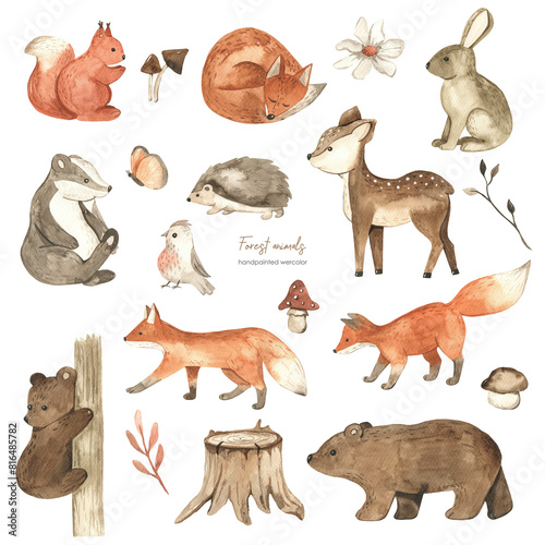 Watercolor set with forest animals, squirrel, fox, hare, bear, badger, hedgehog, mushrooms, flower, butterfly, bird, plants for baby cards and baby showers