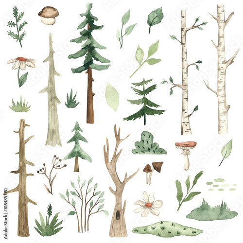 Watercolor set with forest plants, birch, trees, spruce, pine, leaves, flowers, grass, greenery, bushes, mushrooms for children's cards and greetings