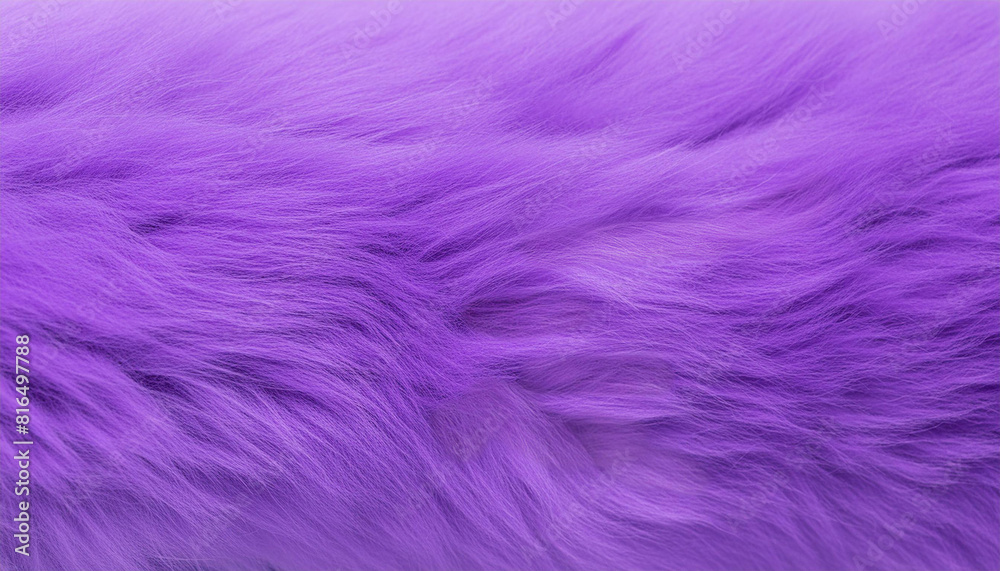 Fototapeta premium Purple fluffy fur texture background