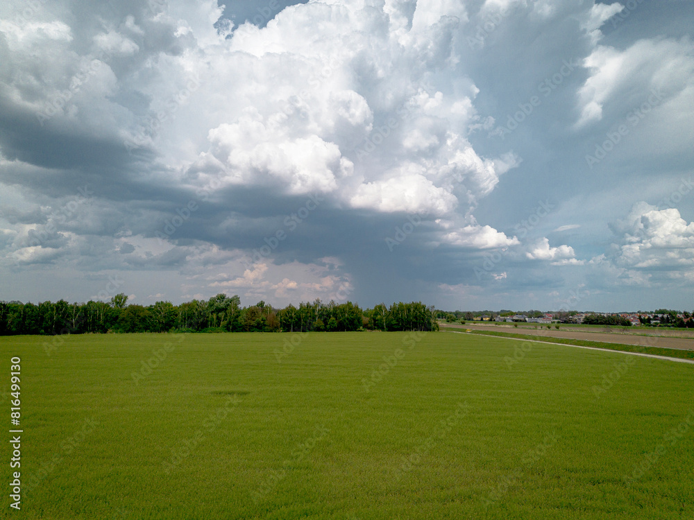 Agricultural field with rapeseed before a thunderstorm, view from the top Agricultural field with rapeseed before a thunderstorm, view from the top