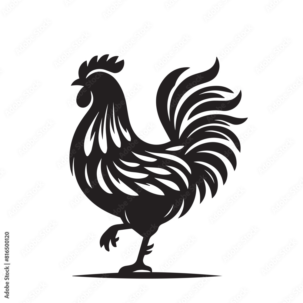 chicken silhouette. Hen vector design isolated on white background. chicken silhouette. Hen vector design isolated on white background.