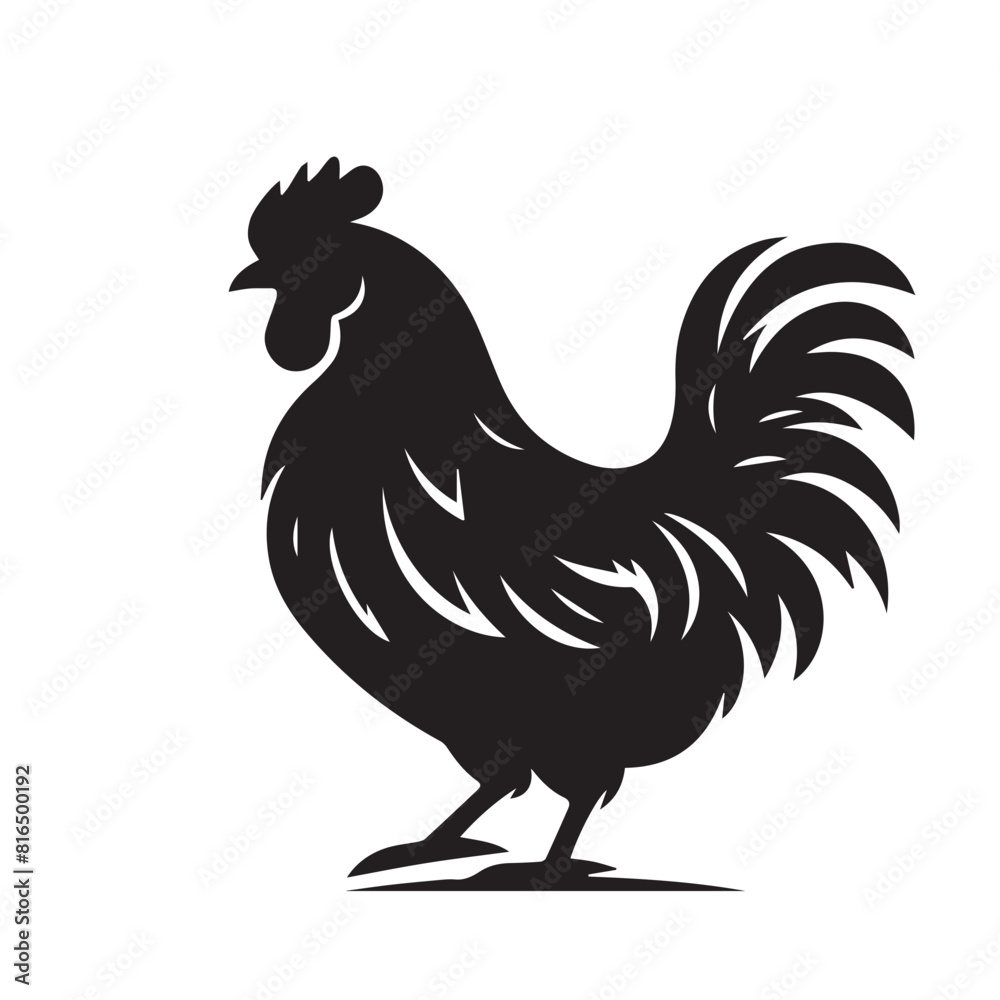 chicken silhouette. Hen vector design isolated on white background.