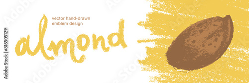 Vector almond icon isolated. Hand drawn almonds drawing, almond nuts illustration. Marzipan paste or almond butter badges. Floral sketch with charcoal textures. Almond emblem for organic food label.