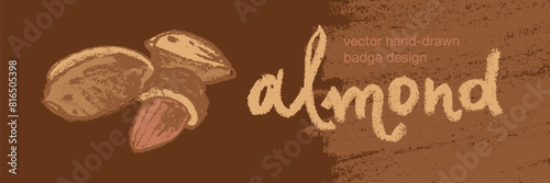 Vector almond icon isolated. Hand drawn almonds drawing, almond nuts illustration. Marzipan paste or almond butter badges. Floral sketch with charcoal textures. Almond emblem for organic food label.