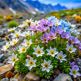 A cluster of delicate alpine blossoms, showcasing the rich diversity of wildflowers found in mountain ecosystems