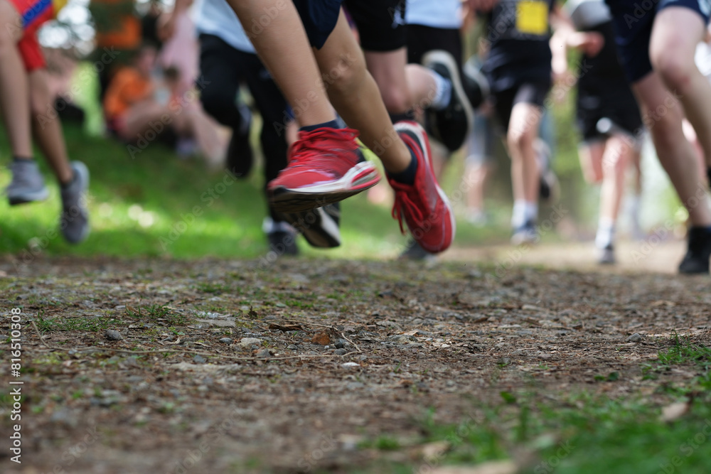 Fototapeta premium Wettbewerb im Crosslauf