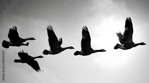 Black and white high key silhouettes of geese in flight   Generative AI