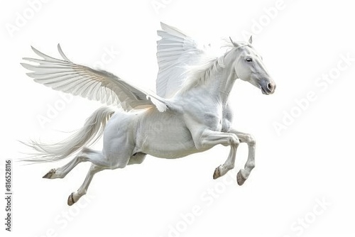 white pegasus fly on white background