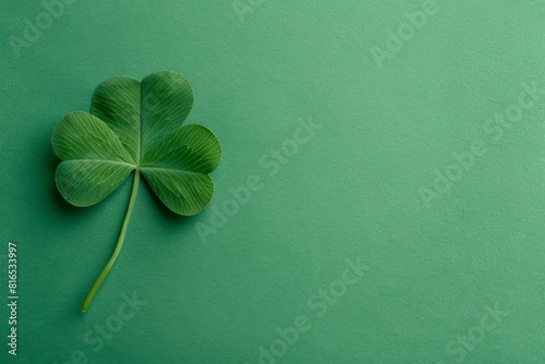 eaf clover on green background, st patricks day theme, flat lay photography, minimalistic photo