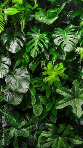 Lush green tropical leaves background