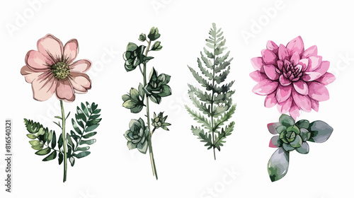 Four of hand drawn pink flowers ferns and succulent illustration