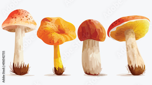 Four of realistic colorful edible mushrooms vector
