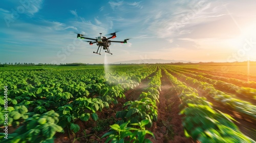 A drone spraying crops in agricultural