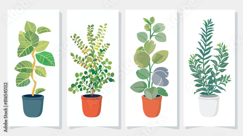 Four of vertical banner templates with plants growing photo