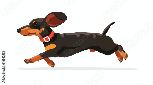 Funny clever dachshund dog breed running vector flat